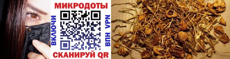 Купить  Владимир  Галлюциногенные грибы GOLDEN TEACHER 